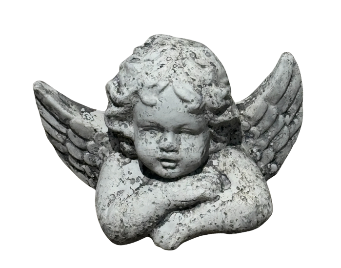 Madelyn Sobey The Cards Have Spoken Tarot Course