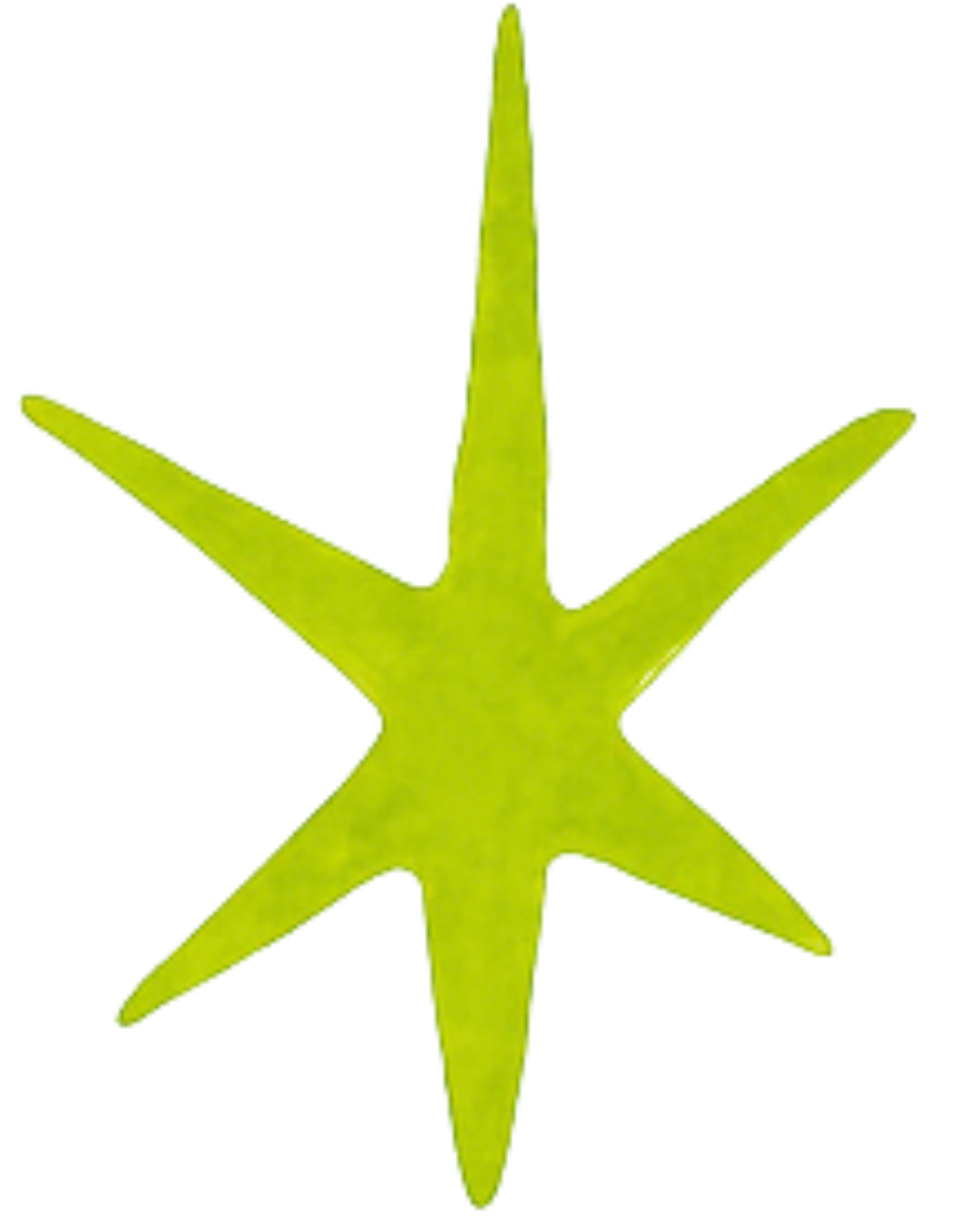 Madelyn Sobey The Cards Have Spoken Tarot Course