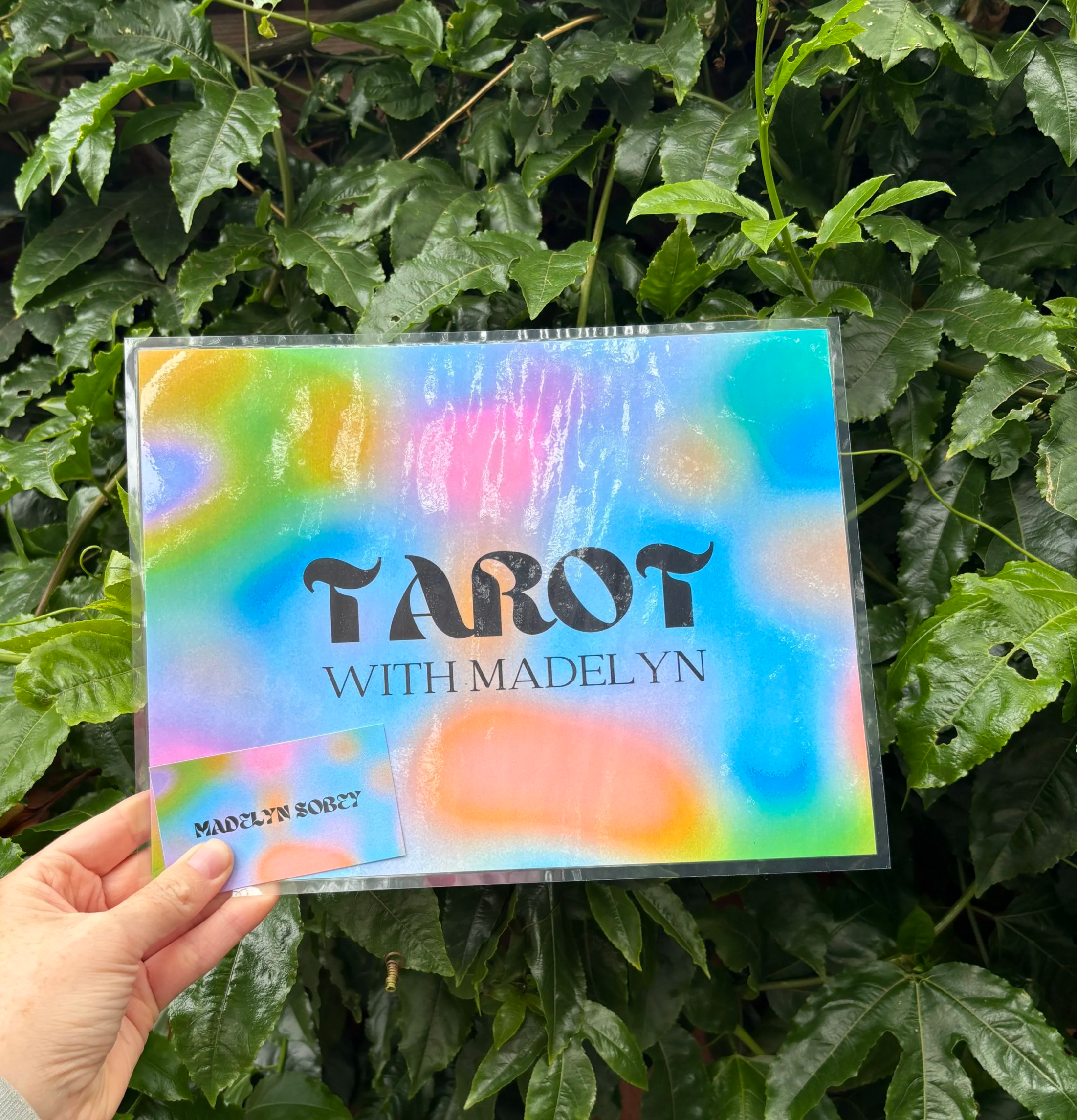 A holographic sign with rainbow colors that reads "Tarot with Madelyn" being held in front of green leafy plants.  Madelyn Sobey The Cards Have Spoken Tarot Course