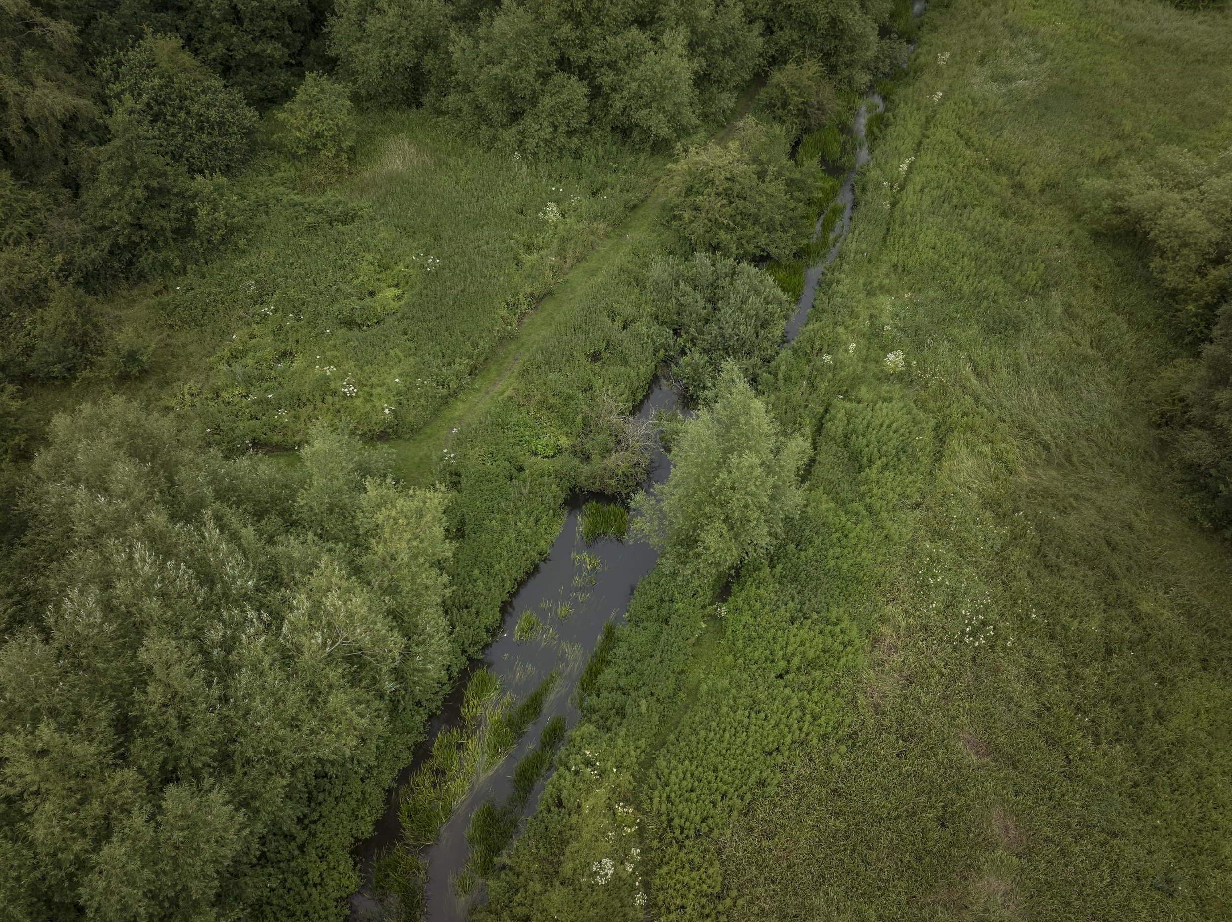 Alexander Begg Portrait