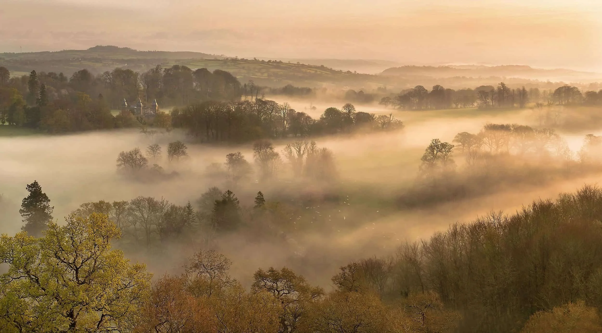 A foggy landscape with rolling hills and scattered trees in a rural area during sunrise or sunset.