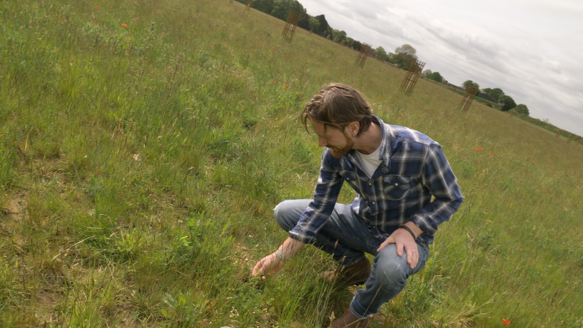 Expanding Horizons in UK Carbon Market Opportunities for Land Managers: Introducing Wilder Carbon and Swallowtail Consulting&nbsp;