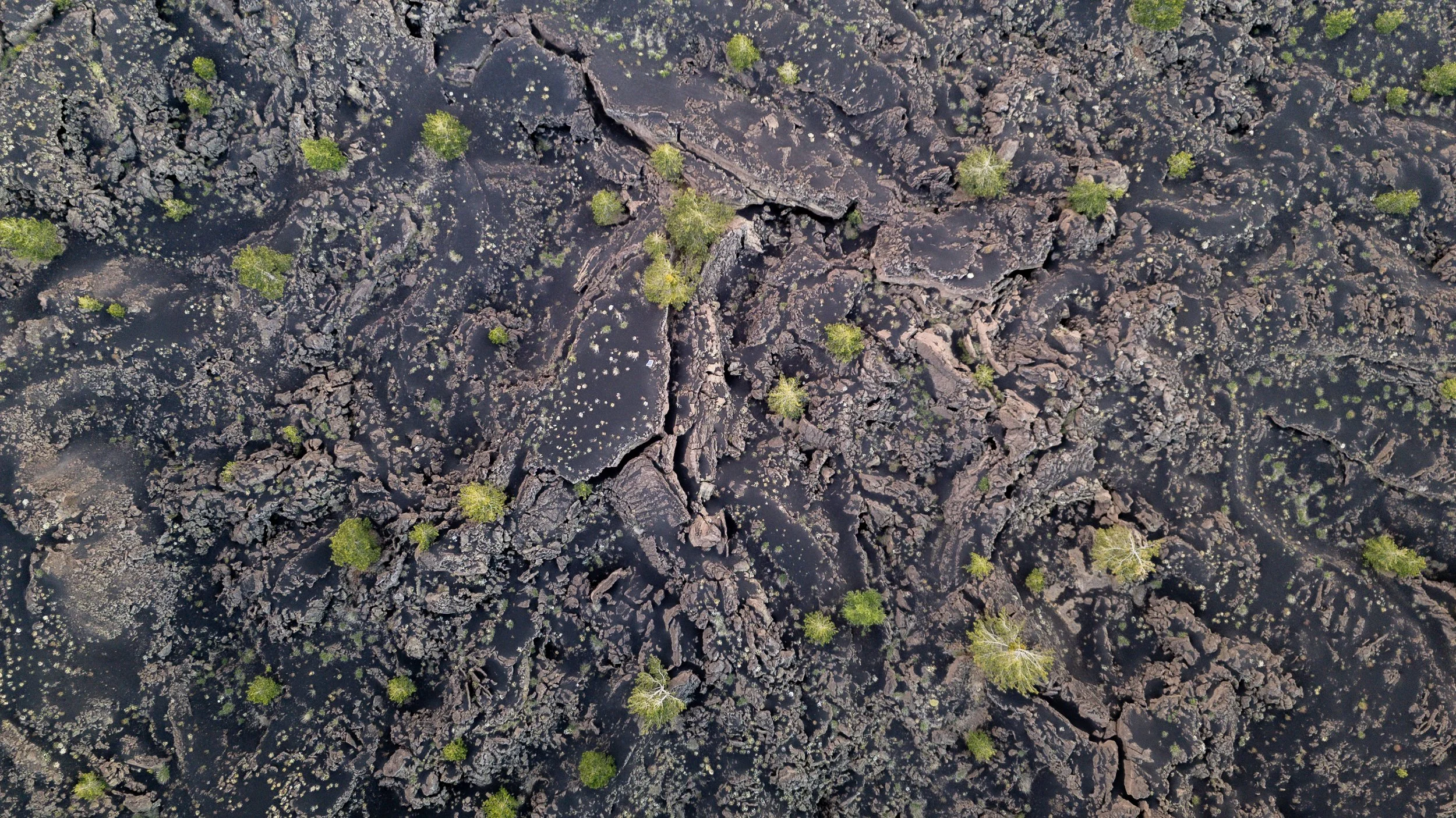 Scorcio di un paesaggio vulcanico con rocce nere e piccole piante verdi sparse.