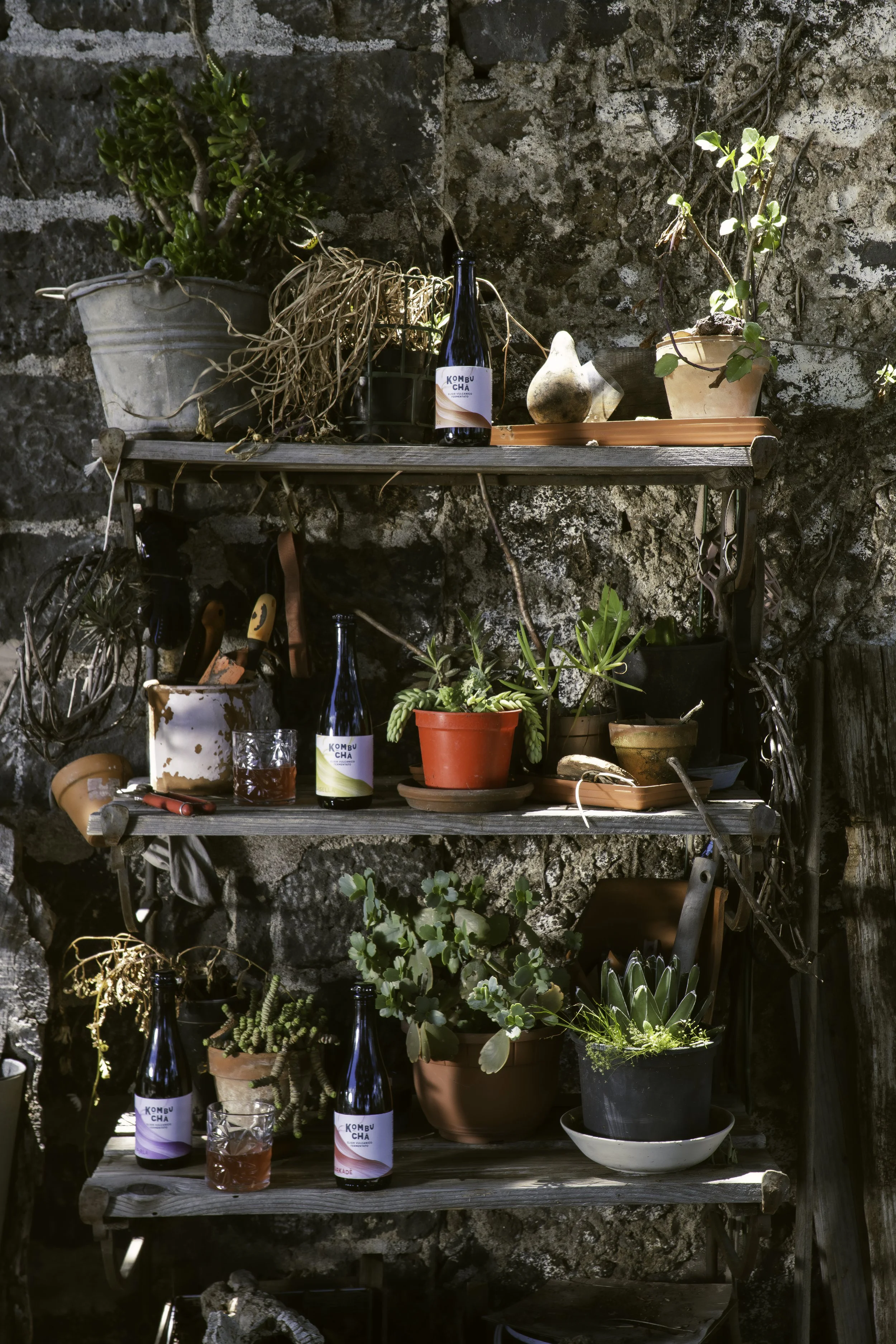 Scaffale di legno con piante in vaso, bottiglie, strumenti da giardinaggio e altri oggetti, fissato a una parete di pietra.
