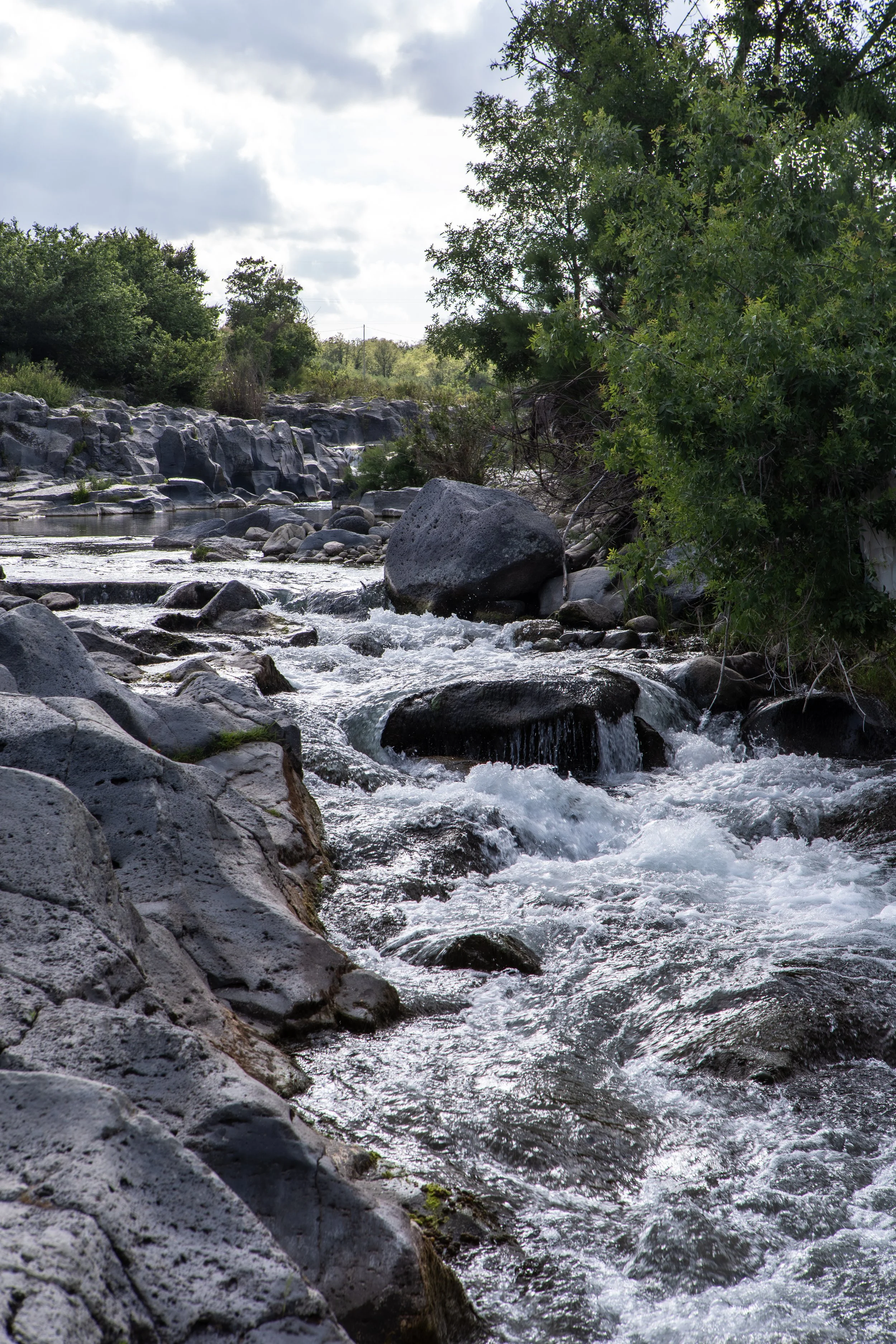 Fiume con acqua corrente tra rocce e alberi verdissimi sotto un cielo nuvoloso.
