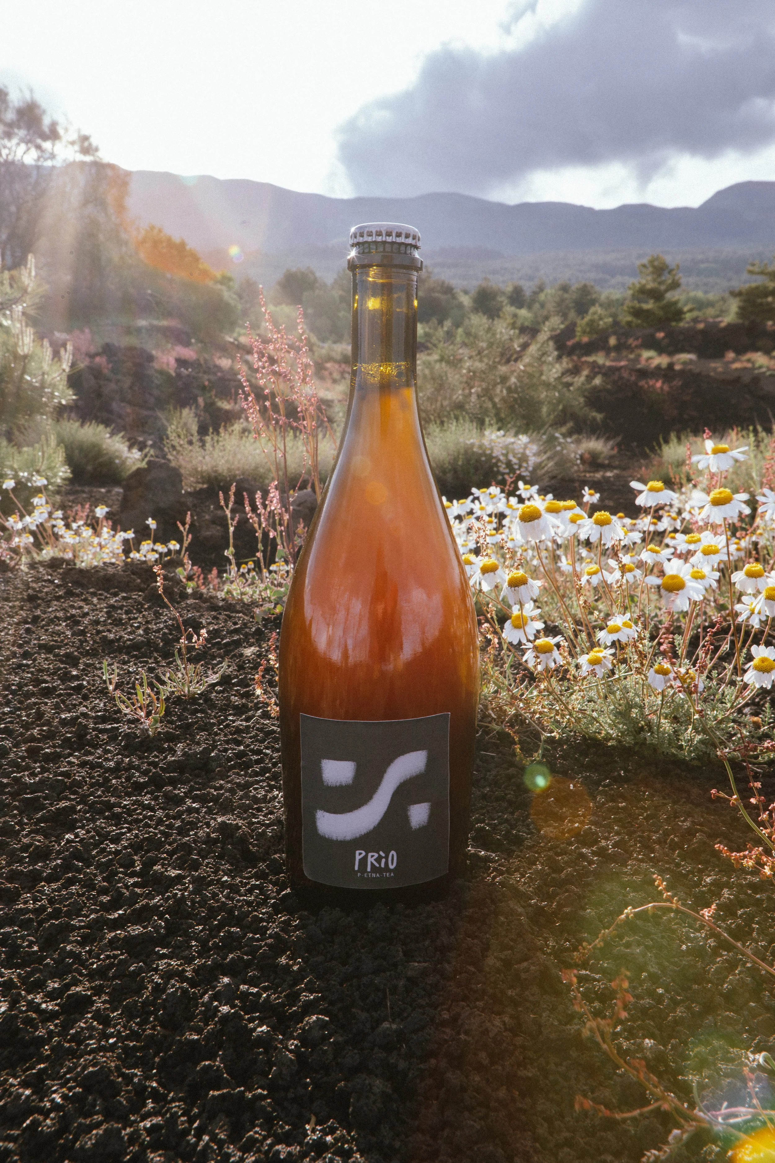 Una bottiglia di tè in un paesaggio naturale con fiori bianchi e montagne sullo sfondo in un giorno soleggiato