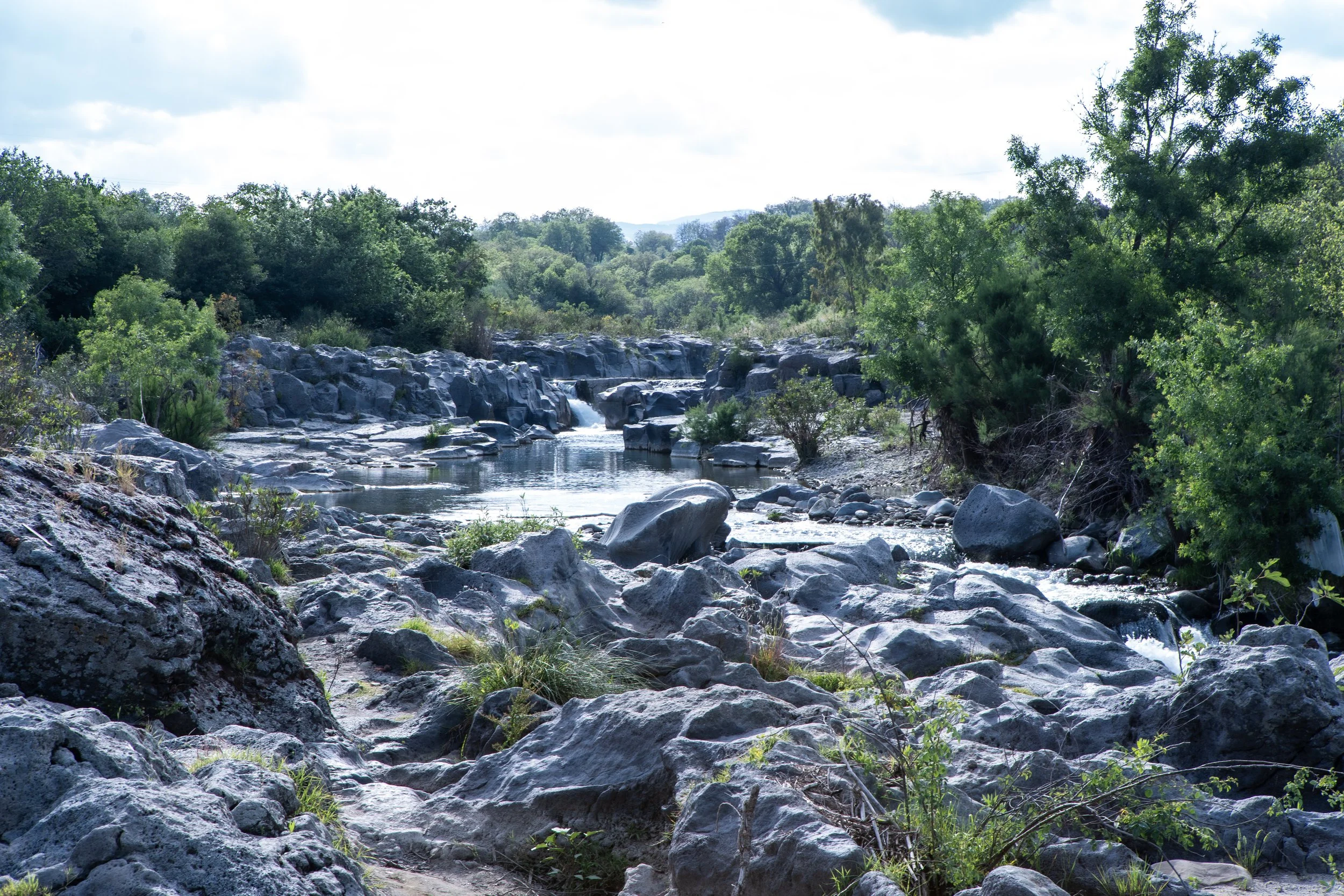 Fiume con rocce e alberi lungo le sponde, sotto un cielo nuvoloso, in un paesaggio naturale.