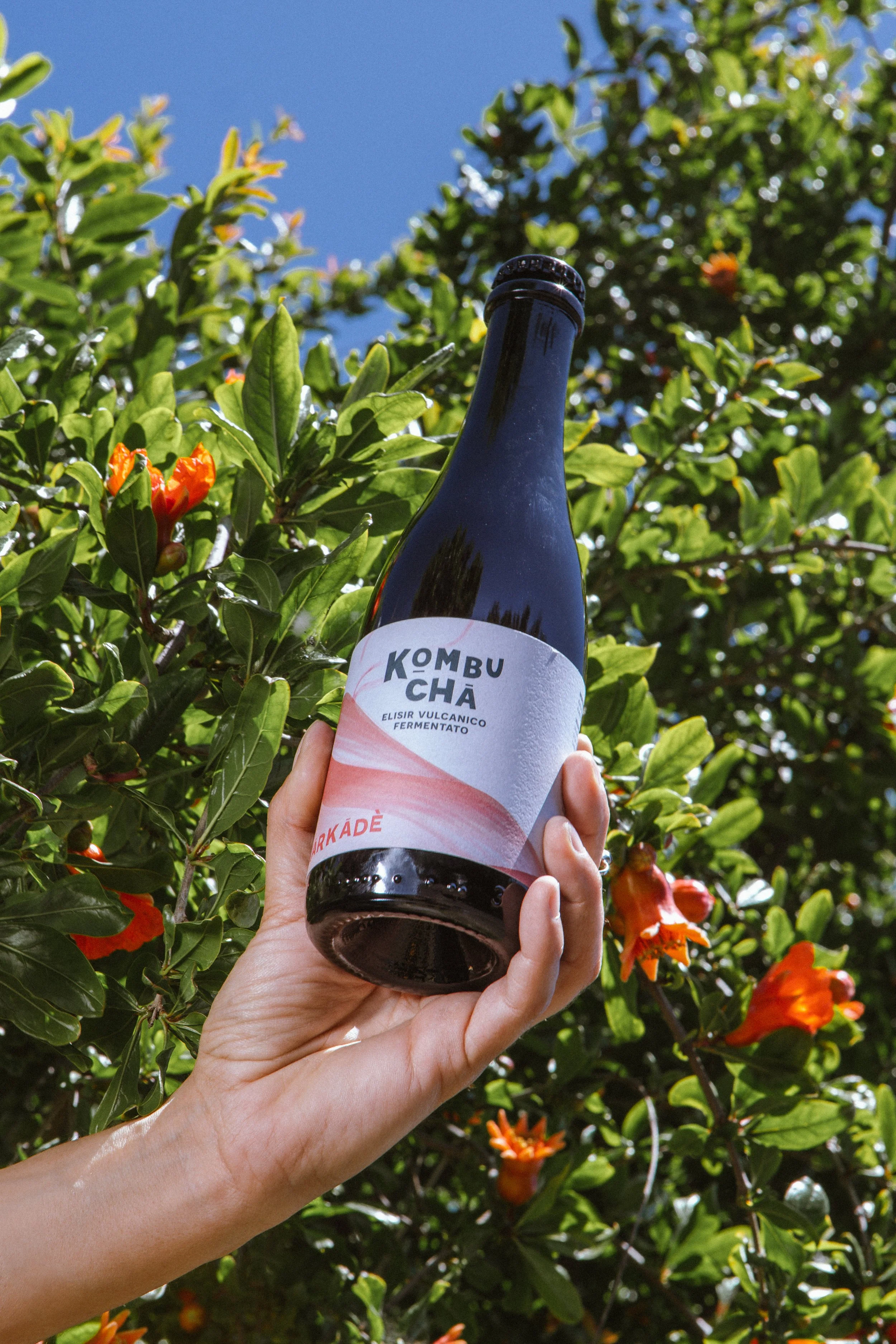 Una mano tiene una bottiglia di kombucha mentre si trova tra rami di un arbusto con foglie verdi e fiori arancioni, sotto un cielo azzurro.