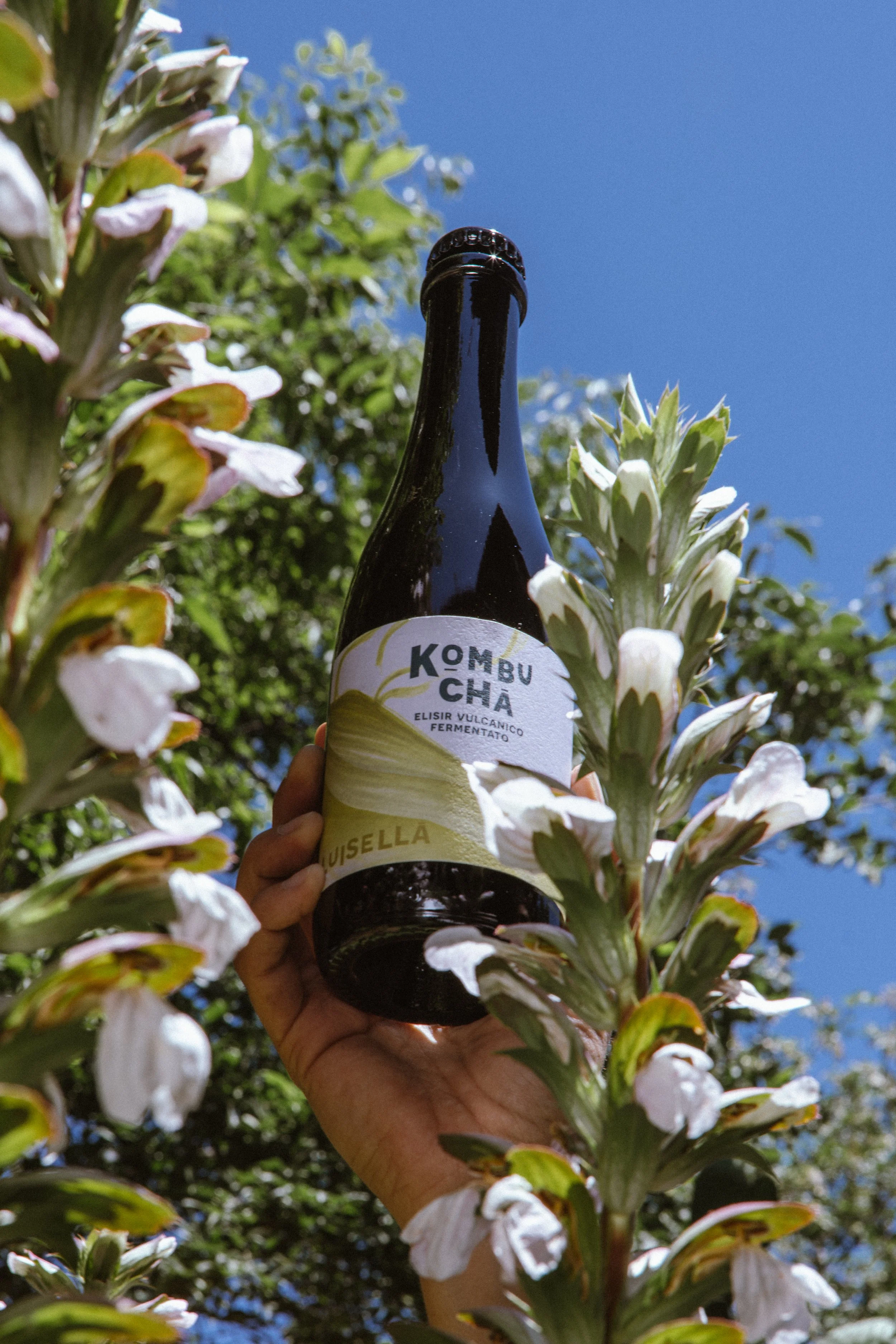 Bottiglia di kombucha tra i fiori di una pianta, con il cielo azzurro sullo sfondo.