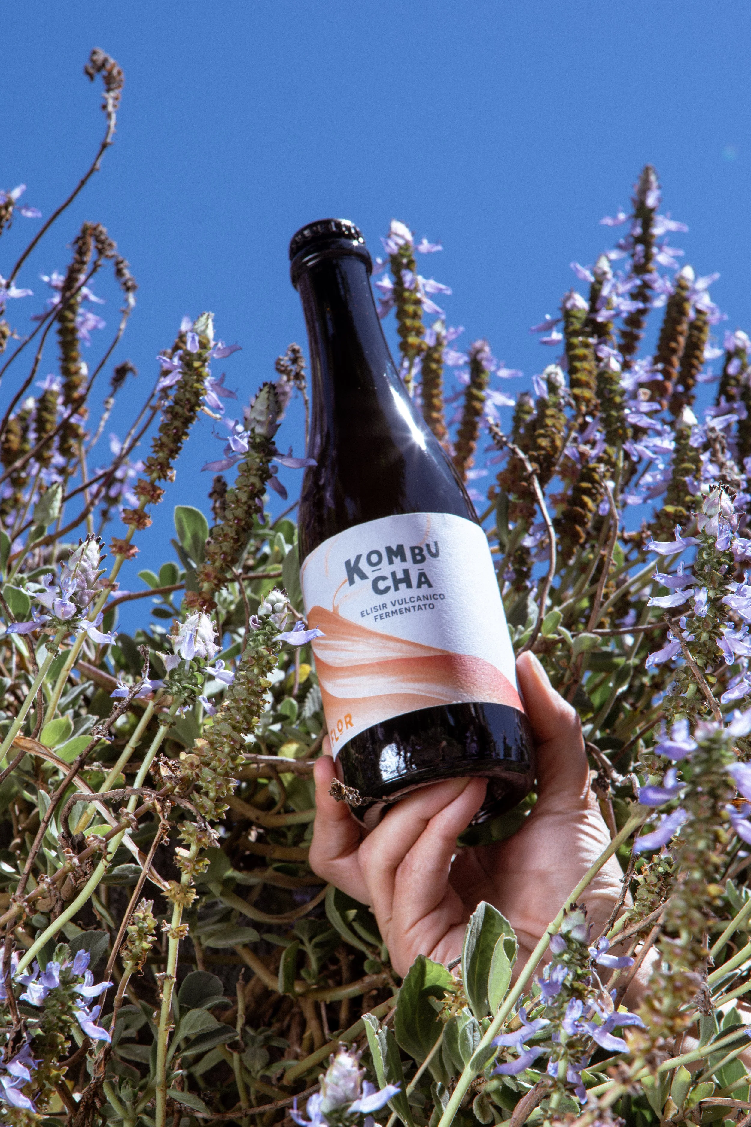 Una mano tiene una bottiglia di kombucha tra delle piante con fiori violetti e foglie verdi, sotto un cielo azzurro.