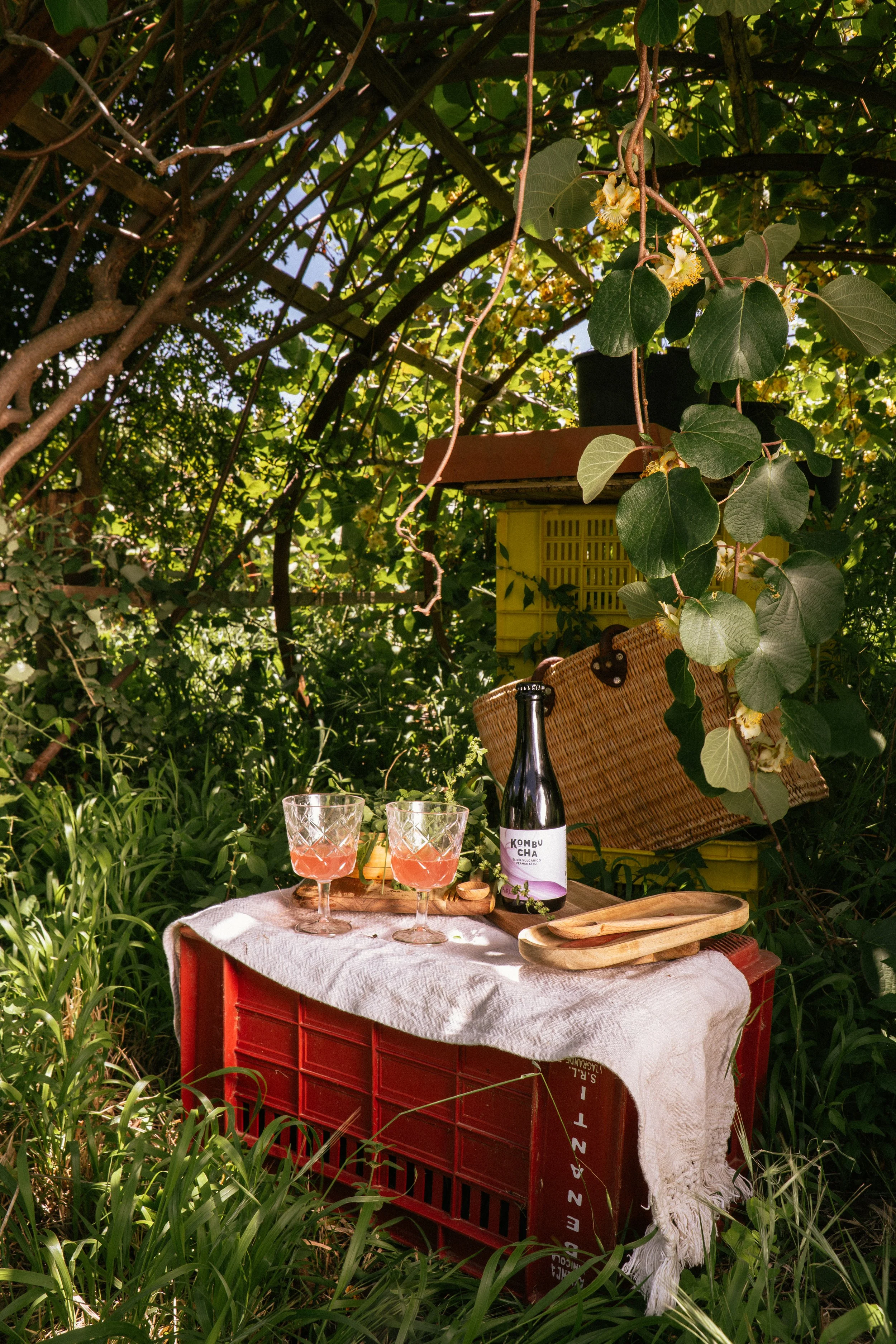 Setup di un picnic all'aperto con due bicchieri e una bottiglia di kombucha su una cassa di legno coperta da una tovaglia, in un giardino verde con piante e foglie.