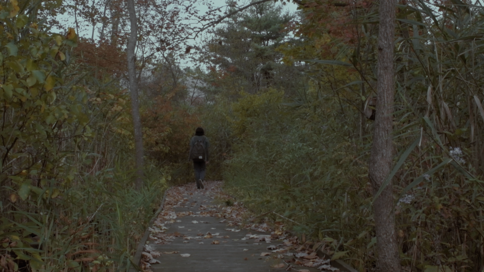 fermata_preston_bowe_still_3.png