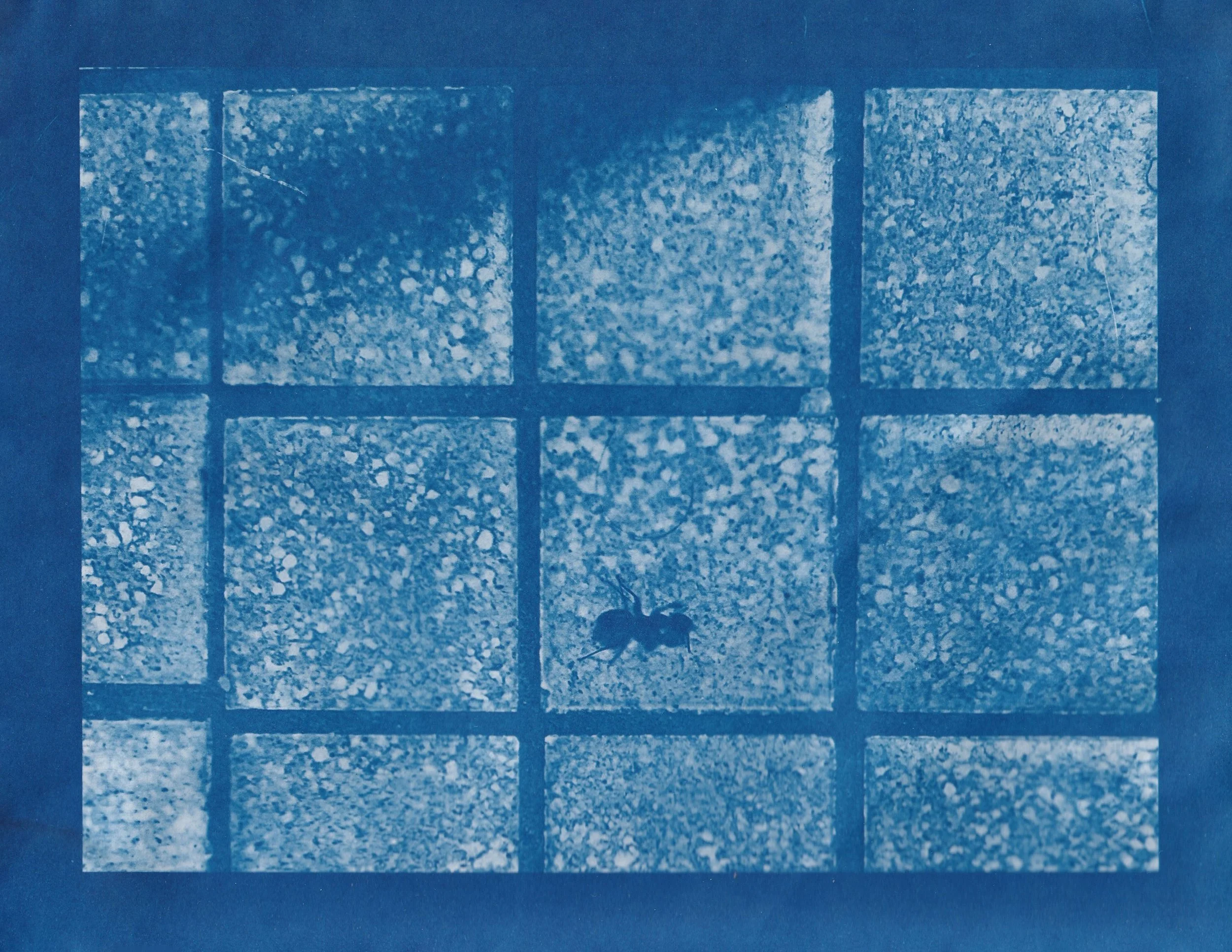 Preston Bowe Corrosion Zine