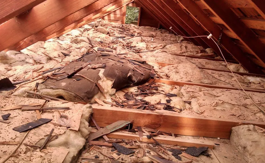 Insulation Removal Process