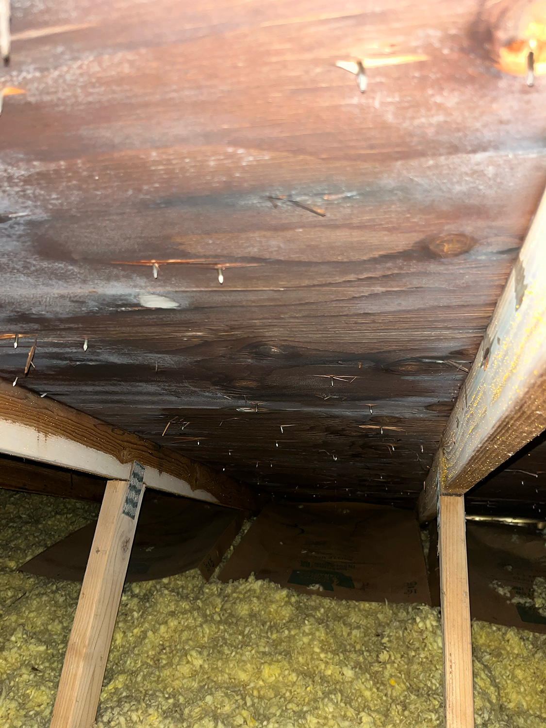 Attic mold, moisture staining, and insulation on wet roof line