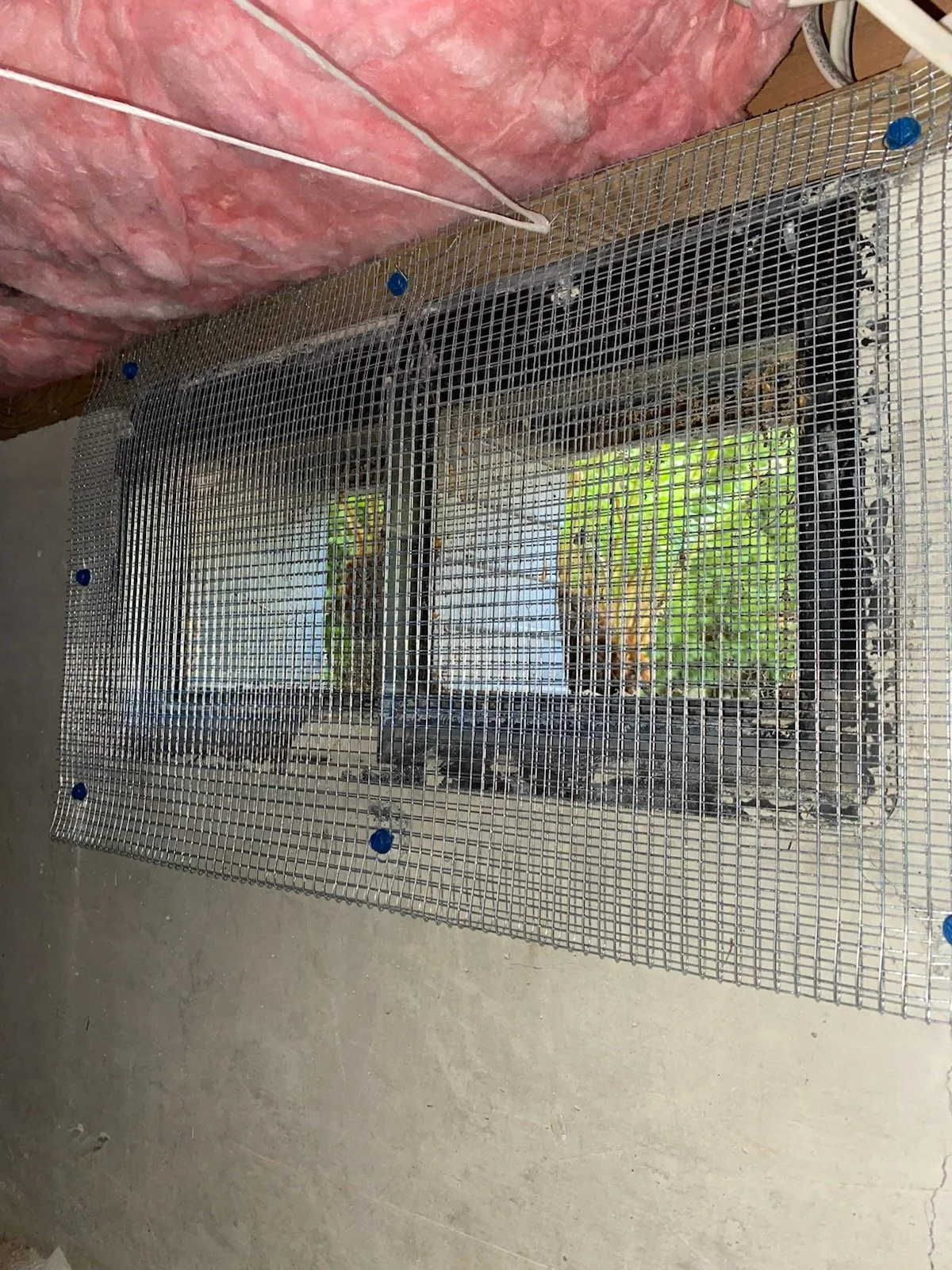 A heavy-duty wire mesh screen for critter exclusion, that is installed over a small window in a wall with pink insulation visible above it.