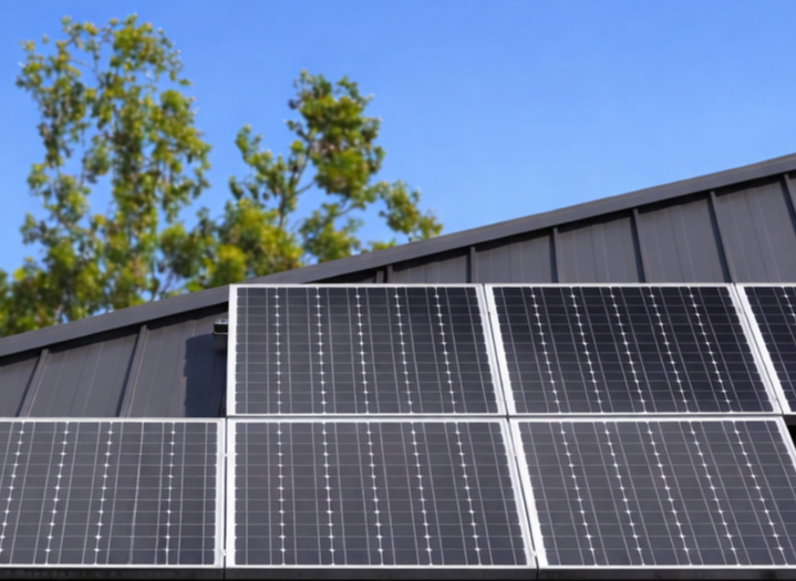 Solar panels installed on a building roof with a clear blue sky and green trees in the background.
