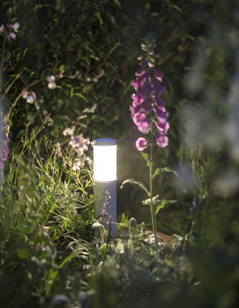 A garden at night with blooming pink and purple flowers and a glowing outdoor light.
