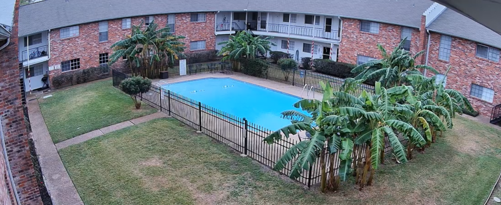 An outdoor swimming pool area in an apartment complex enclosed by a black metal fence, with surrounding green grass and tropical plants, including banana trees. The brick apartment building has balconies overlooking the pool.