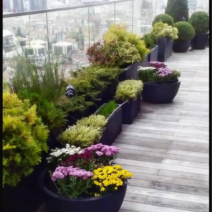 Rows of potted plants and flowers on a wooden balcony with a city view in the background.
