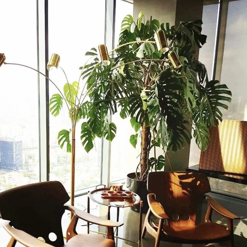 Indoor office or lounge area with large window, a tall green plant, two chairs, and a small table with cups, illuminated by a floor lamp.