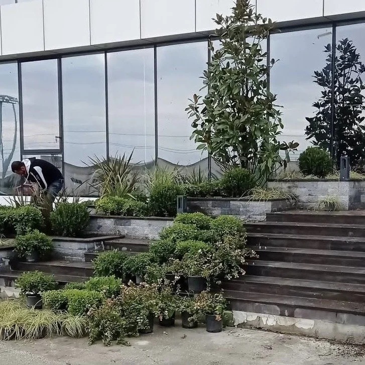 A person tending to potted plants on an outdoor staircase next to a building with large glass windows.