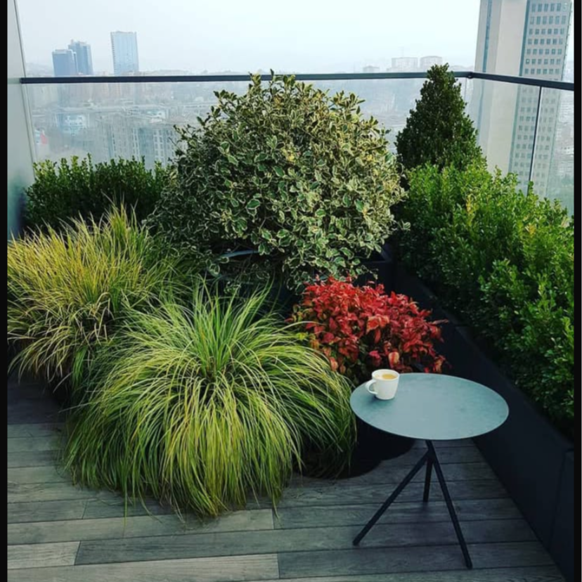 View of a balcony garden with various green and red plants, a small black table with a coffee cup, and a city skyline in the background.