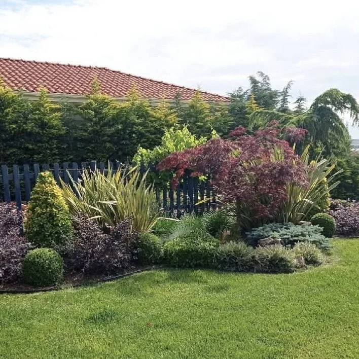 Beautiful garden with various shrubs and plants, including a red-leafed tree, green bushes, and ornamental grass, in front of a black fence and house with a red tile roof.