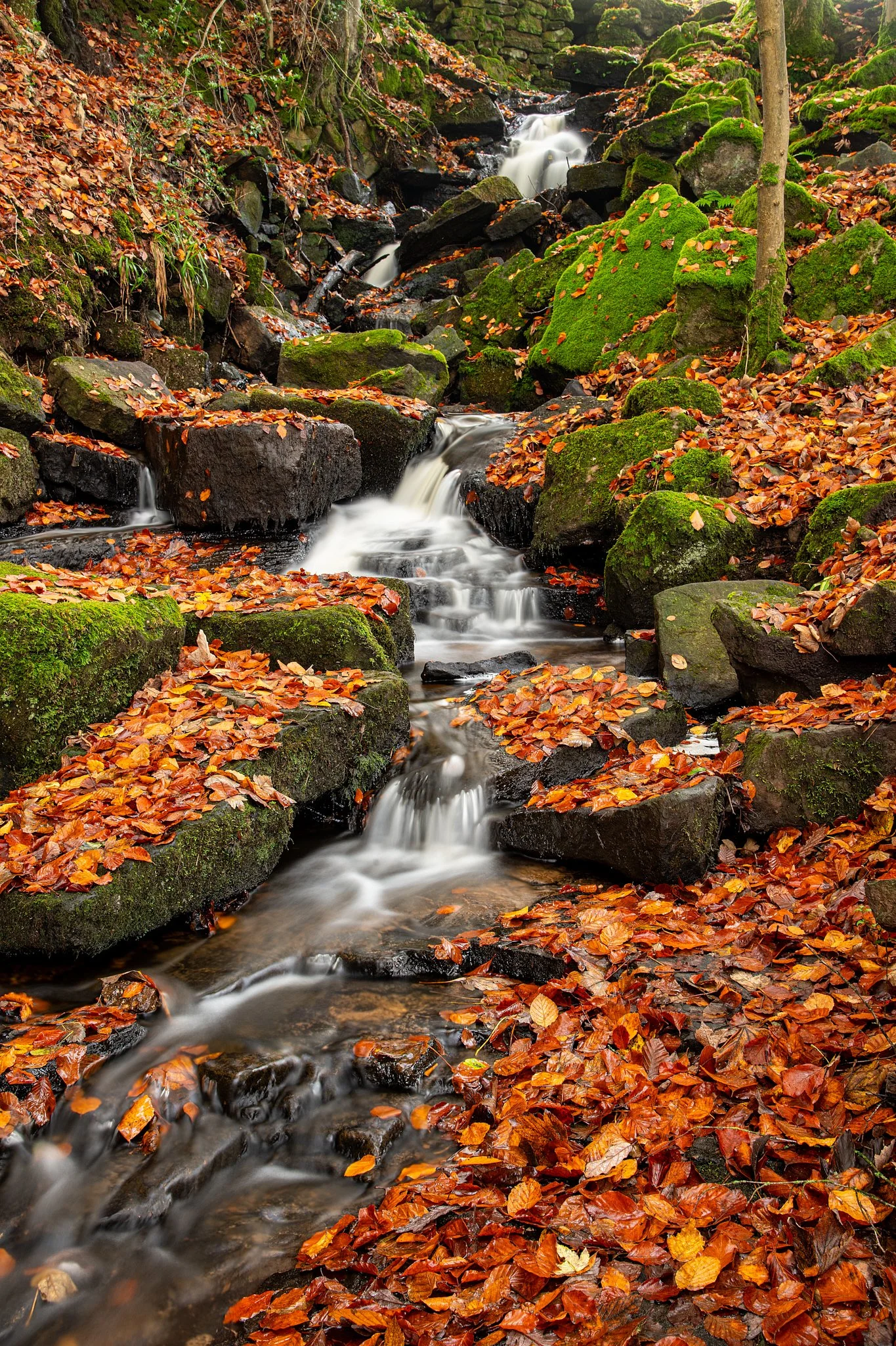 A small waterfall flowing over moss-covered rocks in an autumn forest with fallen orange and brown leaves.