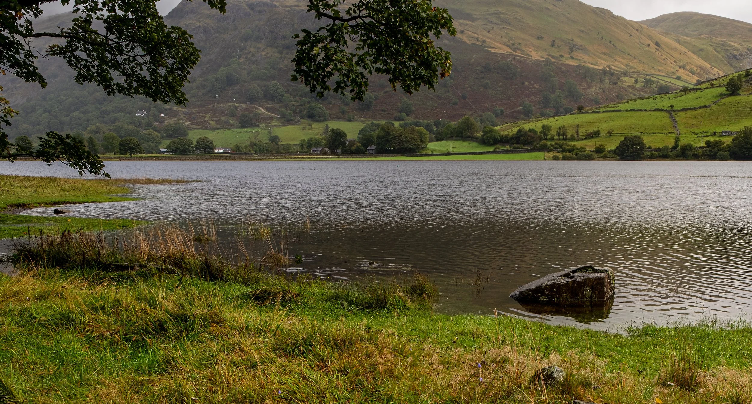 A lakeside scene with calm water, green grassy shore, large rocks, and trees under a cloudy sky, with rolling hills in the background.