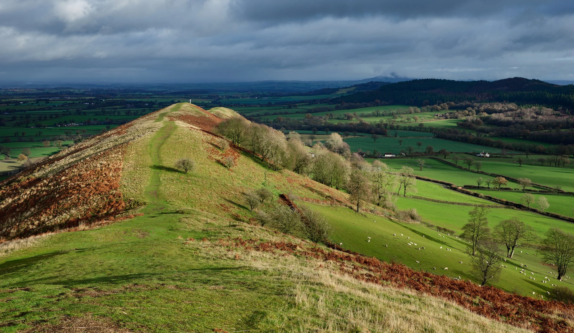 Landscape of rolling green hills with a large hill in the foreground, scattered trees, and a cloudy sky.