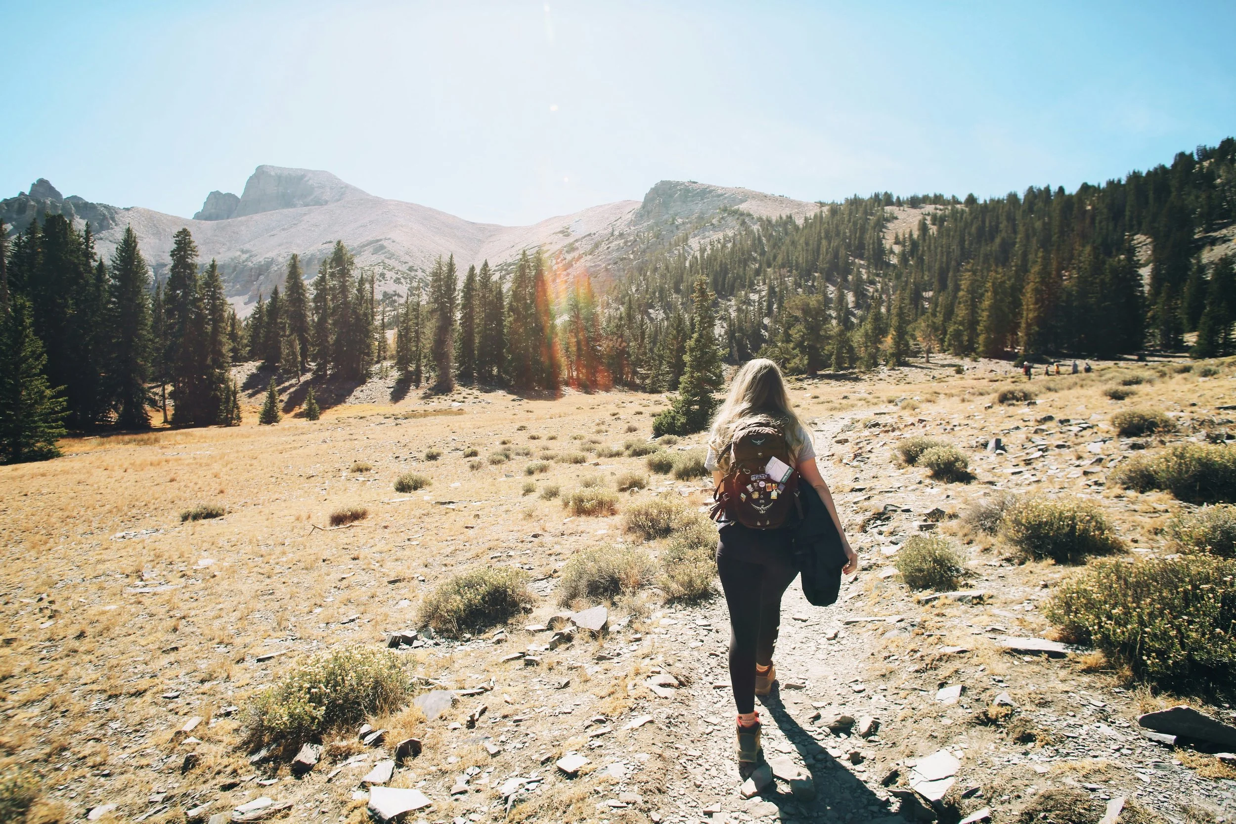 A woman hiking on a trail in a mountainous, forested area under a clear blue sky.