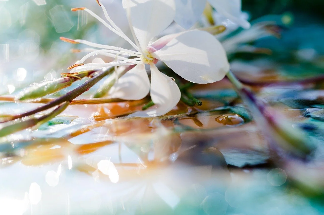 white flower
