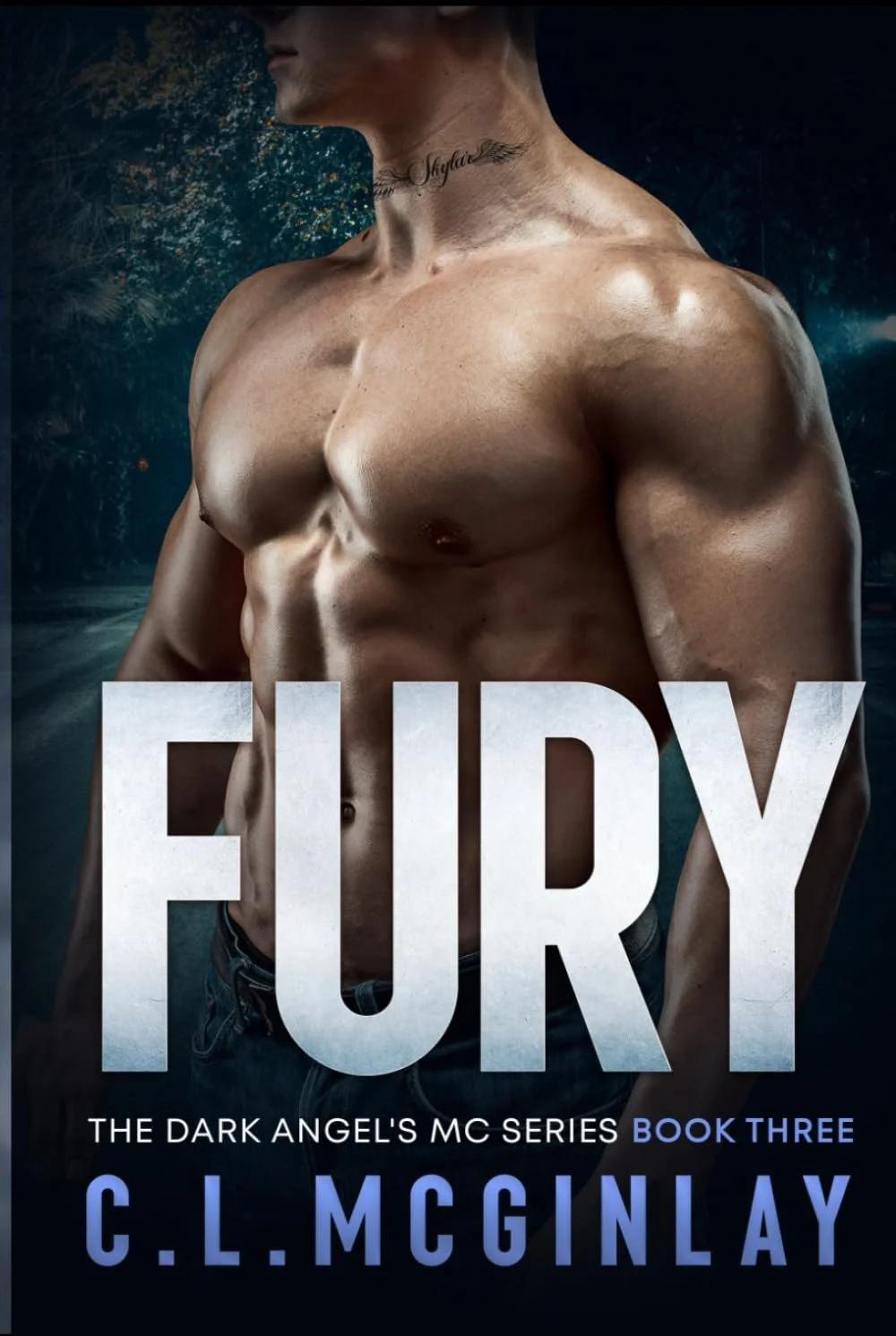Fury (Hardcover)