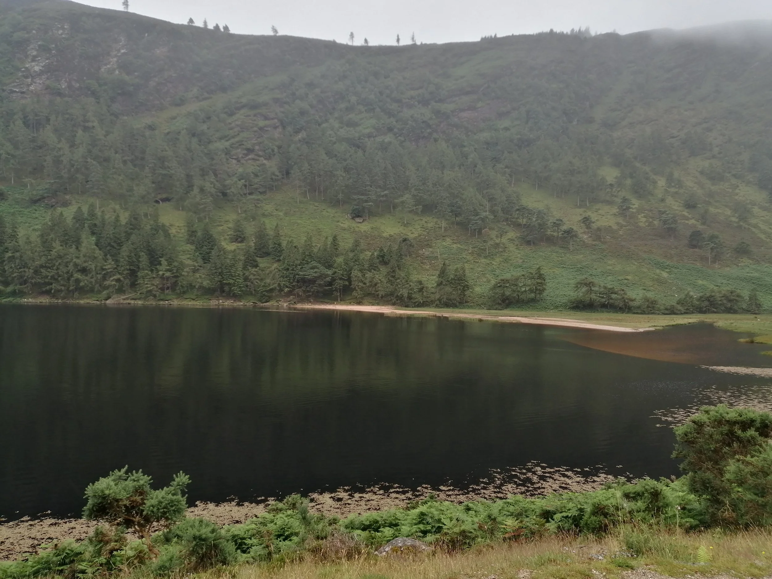 A still, dark mountain lake reflecting a mist-covered forested hillside on an overcast day