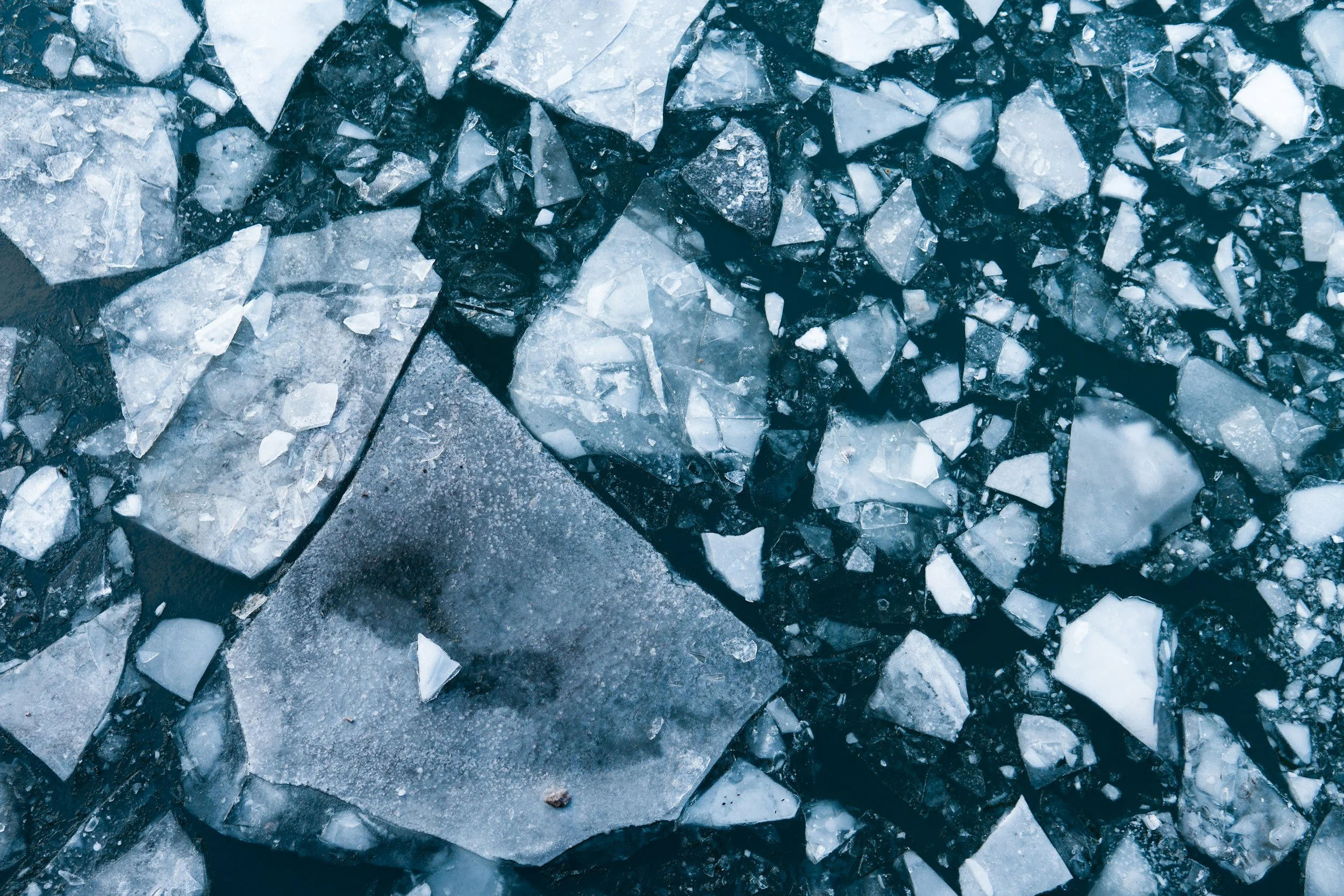 Large and small broken shards of ice floating in cold water.