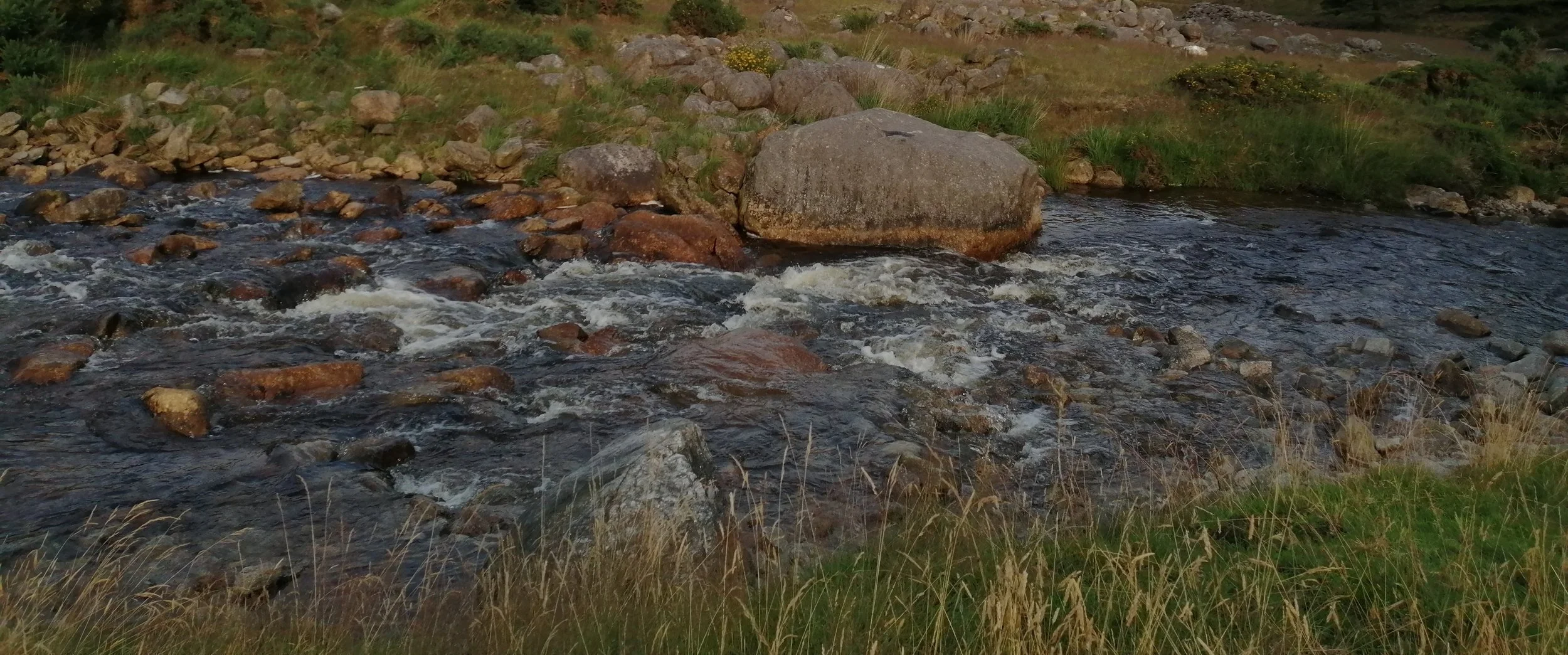 Inner Movement: When Stillness Is Actually Change