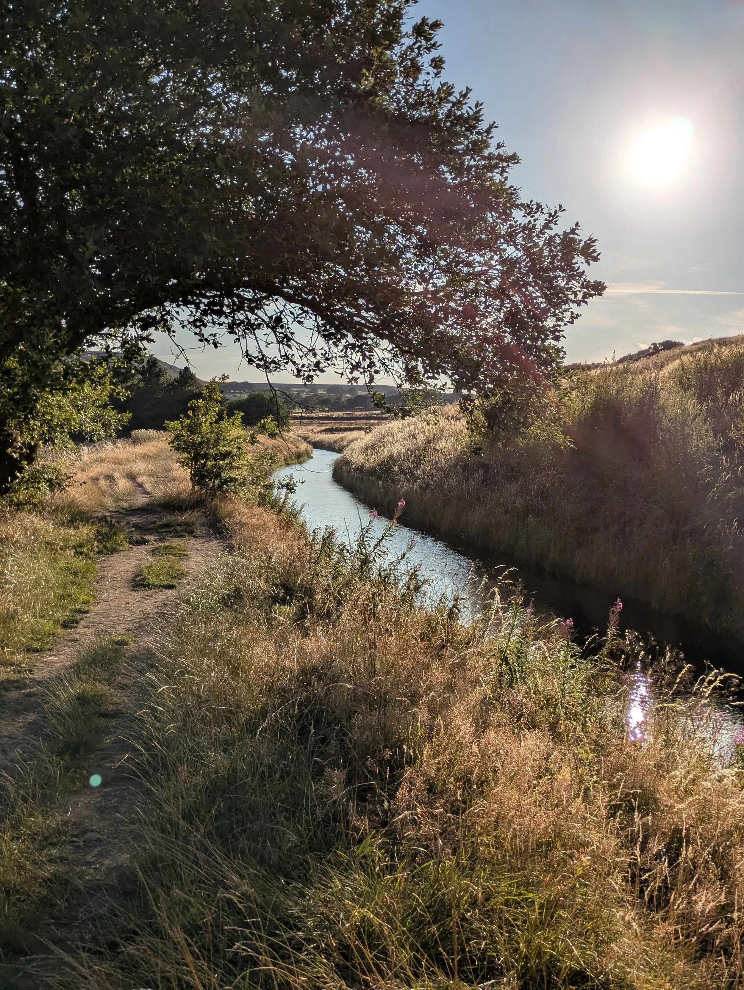 A grassy path alongside a river with rolling countryside hills in the background