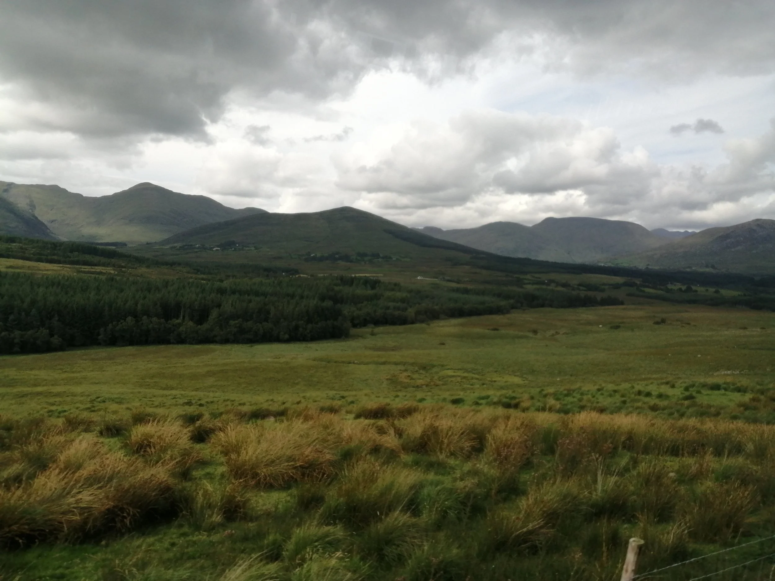 A wide mountain landscape beneath moving clouds, with wind-shaped grasses in the foreground