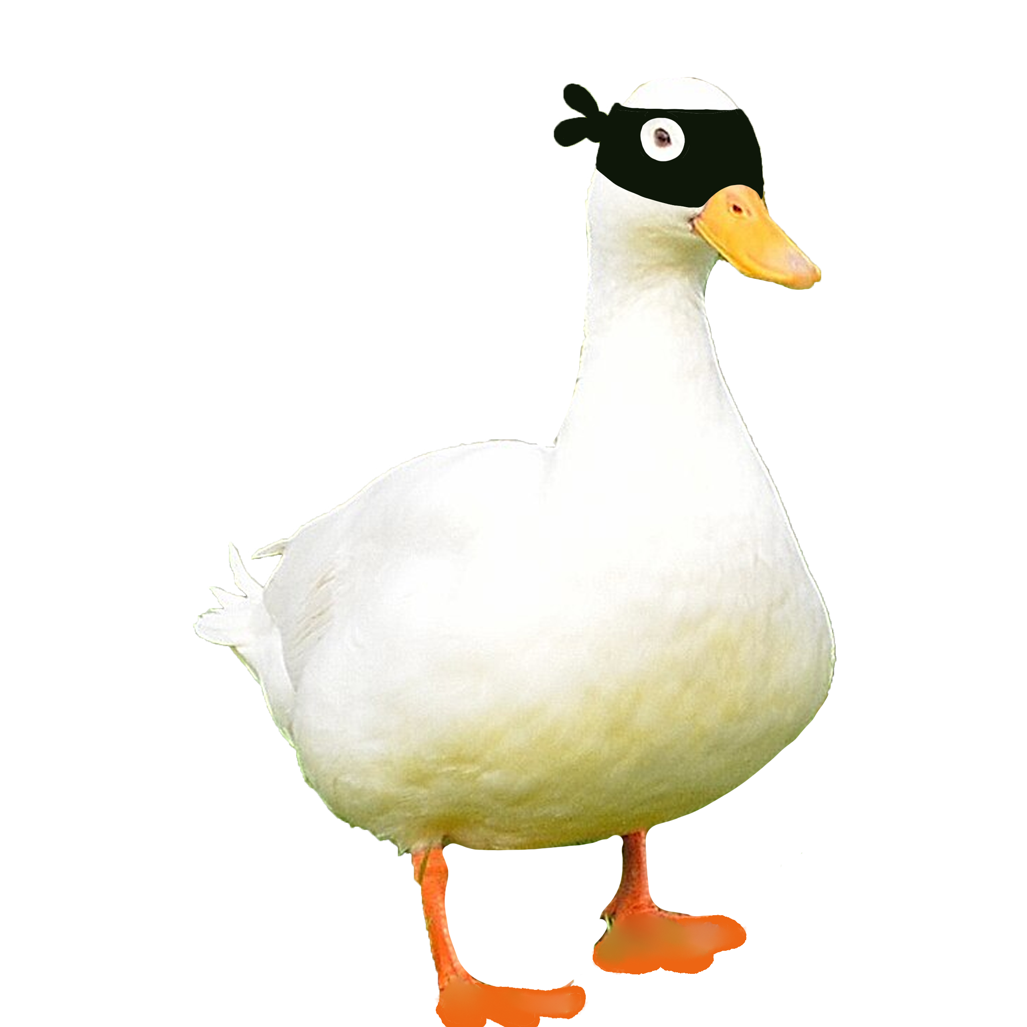 A ninja duck wearing a black eye mask.