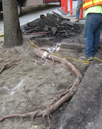 Construction workers near a tree and exposed utility lines, with debris and a pile of asphalt in the background.
