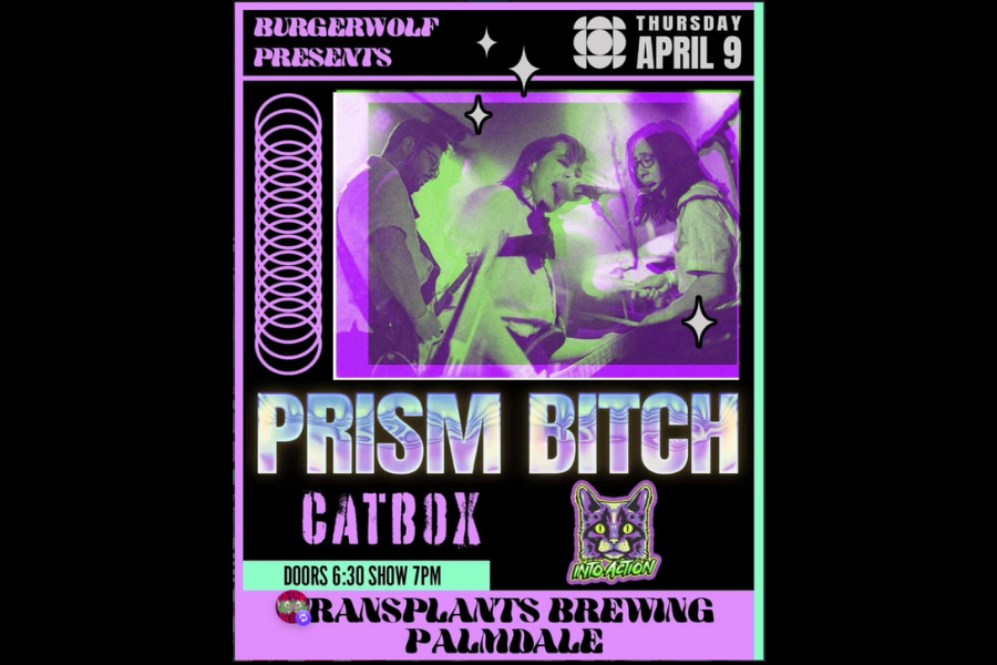 CatBox at Transplants Brewery