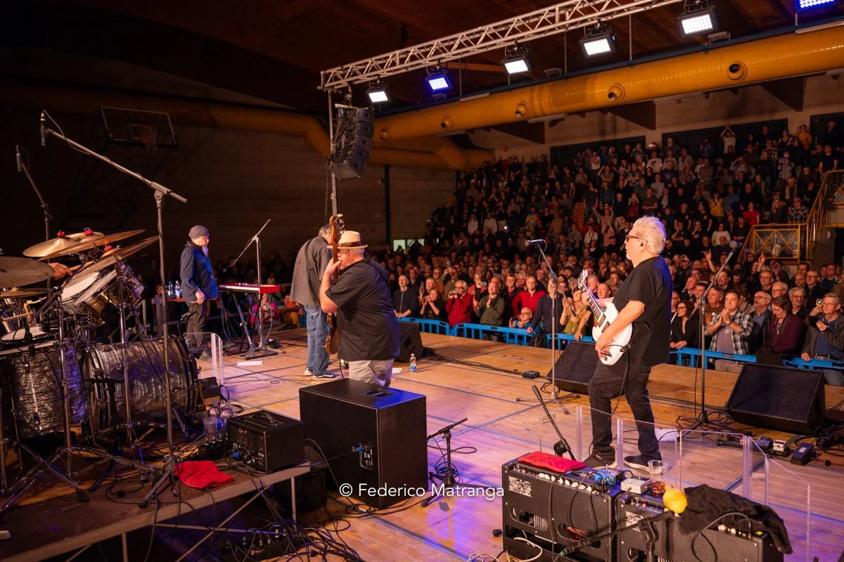 Black Tails - Los Lobos Chiari Electric-24.jpg