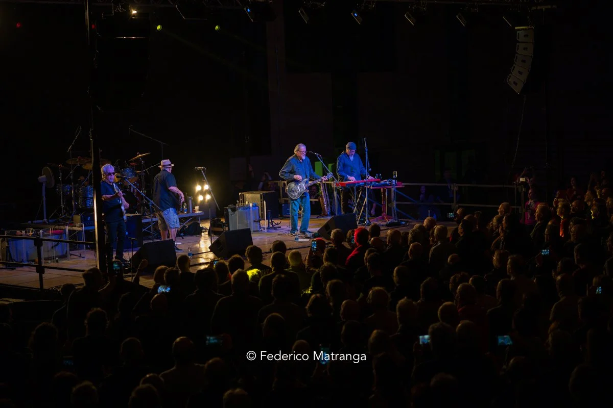 Black Tails - Los Lobos Chiari Electric-23.jpg