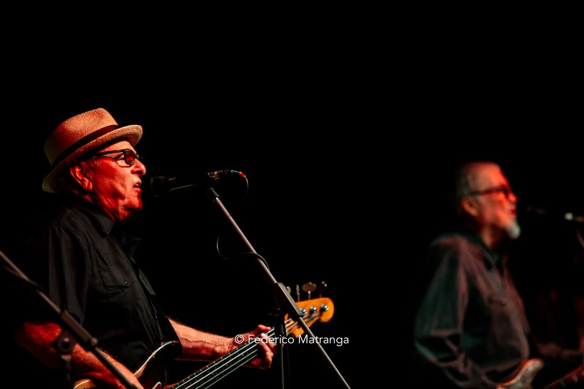 Black Tails - Los Lobos Chiari Electric-19.jpg