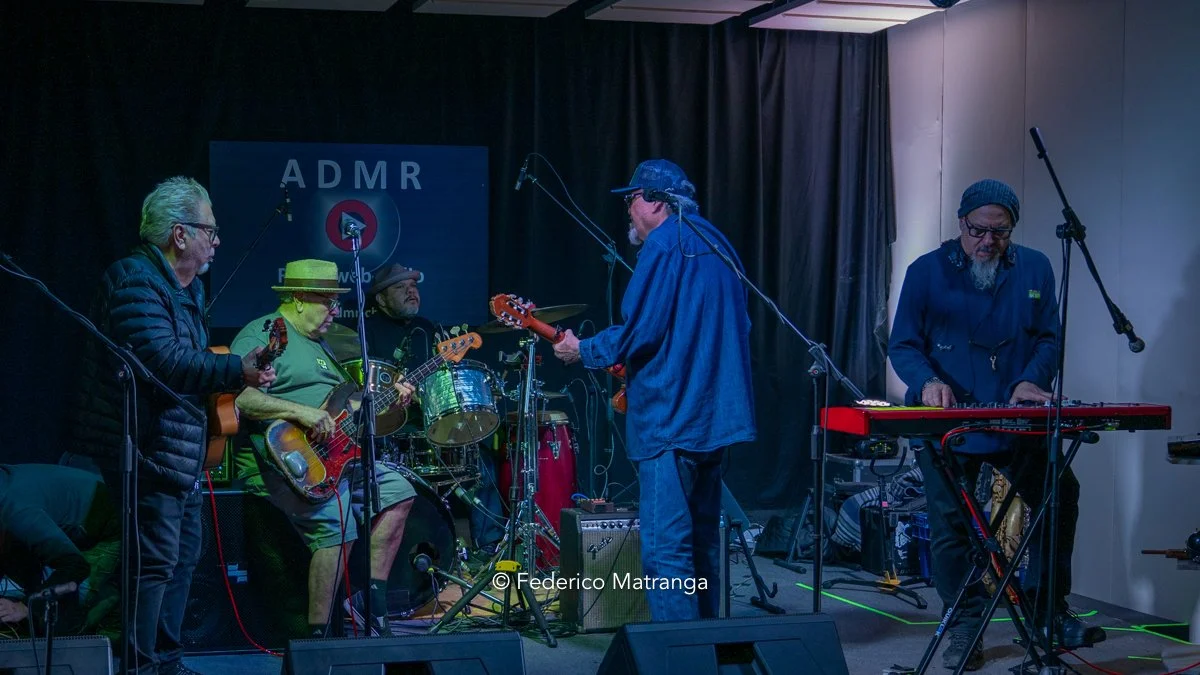 Andrew Van Cleef - Los Lobos - Chiari Acoustic.jpg