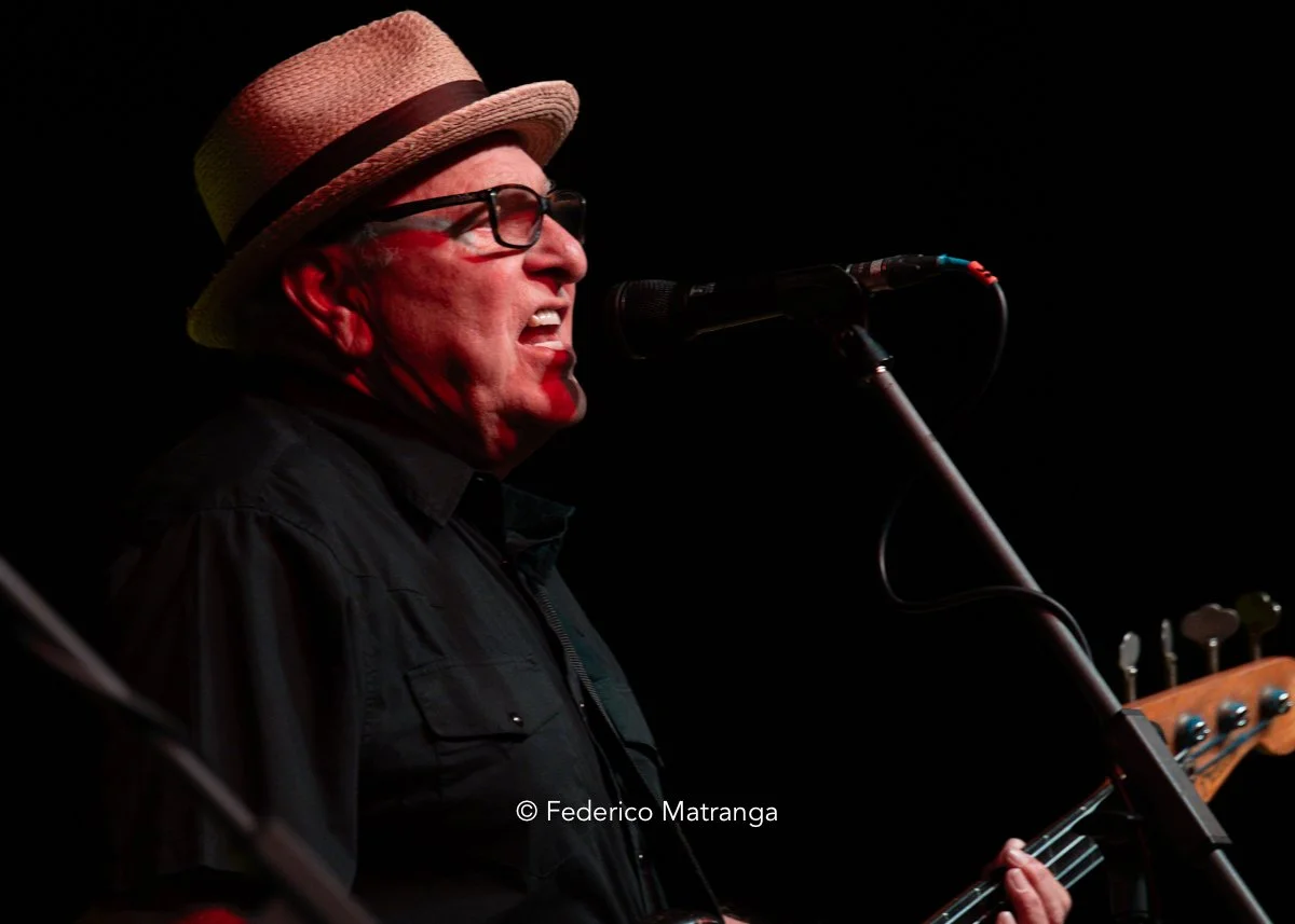 Black Tails - Los Lobos Chiari Electric-18.jpg