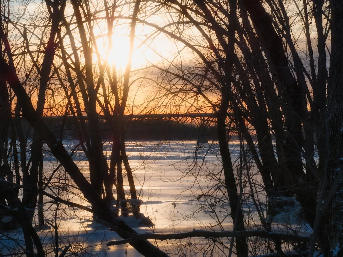 Regenerative Possibilities…