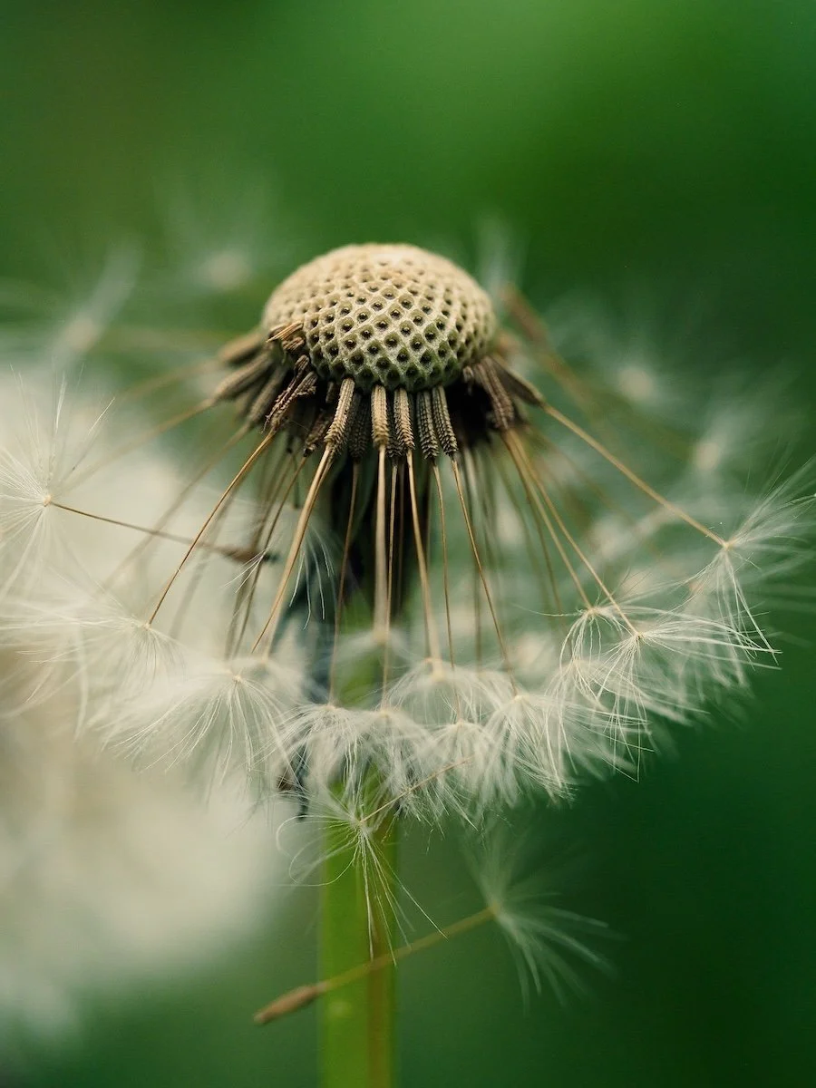 What Regenerative By Design Actually Looks Like