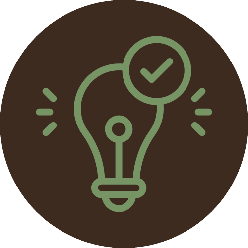 A stylized light bulb with a check mark inside a circle next to it, indicating clarity.